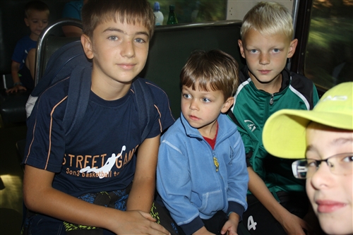 Obrázek v galerii